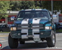 TSR Watermark - 0580